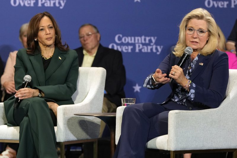 Harris and Cheney stump in battleground states